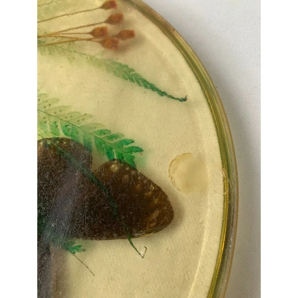 Vintage 60s Acrylic Lucite Butterfly Moth  Dried Flowers Fern Trivet Hot Pad MCM
